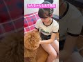 わんちゃんも女子高生もどっちも可愛すぎる笑 #jk #tiktok #shorts #fyp #バズれ