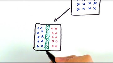A2 Biology - Speciation (OCR A Chapter 20.6)