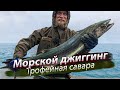 Рыбалка в ЗАПРЕТНОМ месте. Трофейная мелкопятнистая макрель. Морской джиг. 2019/01