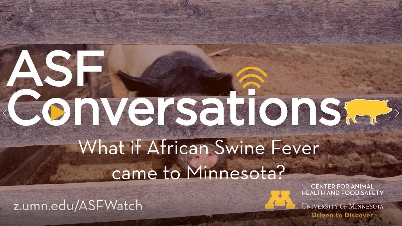 ASFConversations - What if ASF Came to Minnesota?