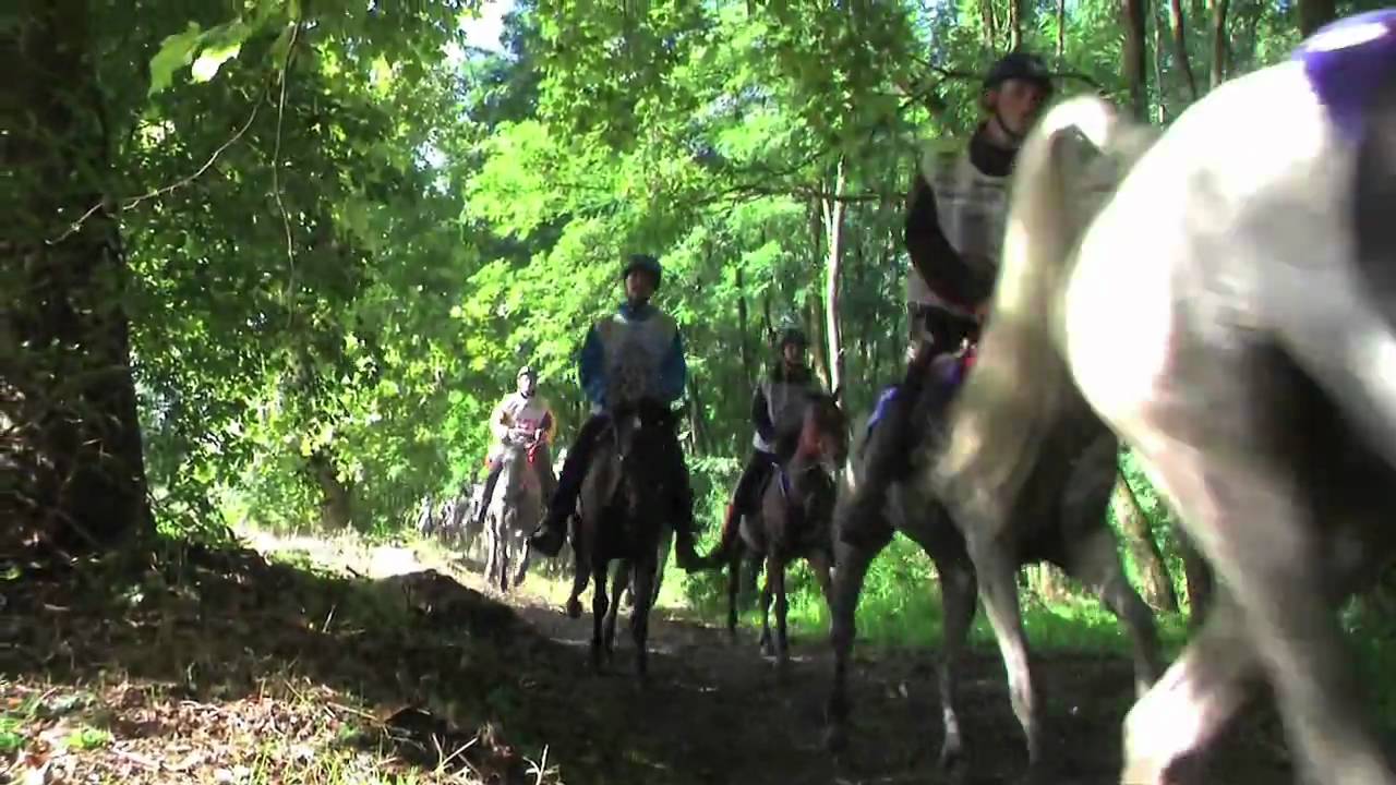 FEI World Endurance Champ YR 09 (Babolna - HUN) - Forever - The Veronicas