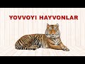 YOVVOYI HAYVONLAR. Ёввойи хайвонлар. Дикие Животные. Rus Tilini  O'rganamiz. Учим Русский Язык.