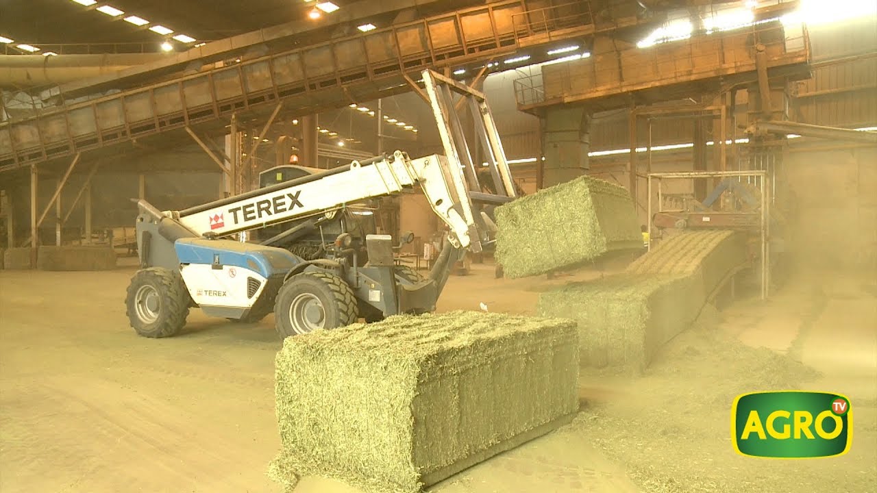 Nafosa: Conocé el principal productor de megafardos de Europa (#741 2017-10-14)