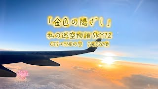 【金色の陽ざし】CTS→HNDの空〜私の巡空物語SKY12