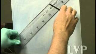 Design Secrets of the Masters: Keys to a Successful Painting by W. Schneider
