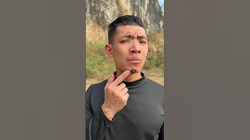 How I Cured a Bug Bite with in the WildSurvival Hacks Yogurt#ca