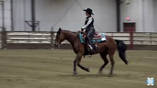 Reining Summer Classic Ranch Reining Pattern 8 Remeddy Remix and Steph News