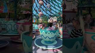Crazy Tea Cups At Disney