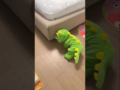 The child pranked his mother,