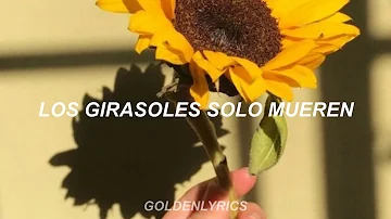 sunflower, vol. 6 - harry styles || sub español