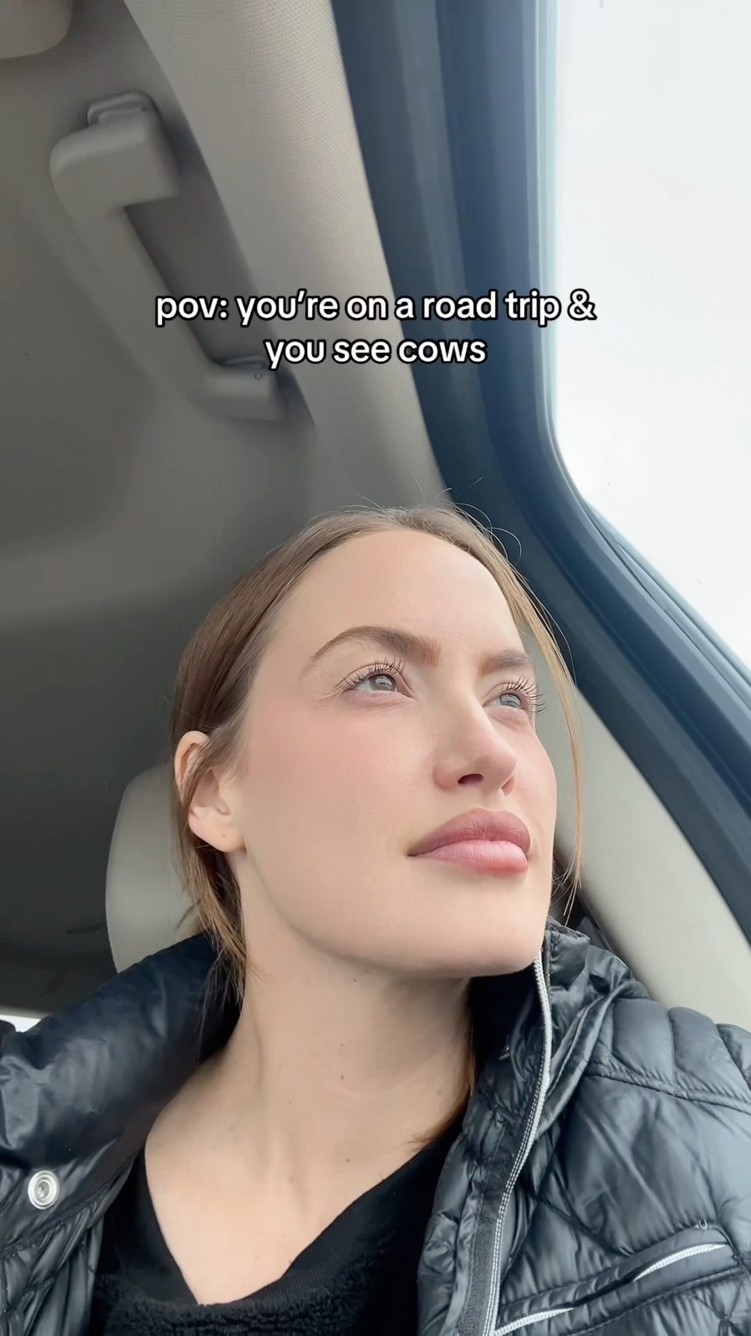 This is every single roadtrip in a nutshell
