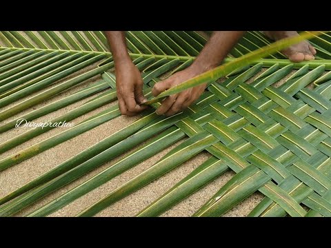 नारियल की चटाई को स्टेप बाय स्टेप/नारियल के पत्ते की पृष्ठभूमि/पंडाल/DIY नारियल शिल्प/नारियल की छत से कैसे बुनें?