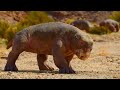 Life On Our Planet [2023] - Lystrosaurus Screen Time Part 5 Final