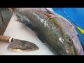 lkejimes The Freshest Way to Eat Your Fish!_worm parasites in fish[yellowtail]대방어회뜨기