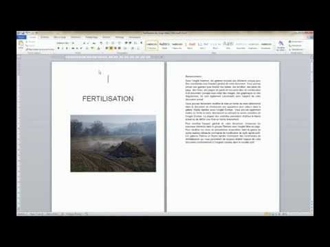 Word 2010 - Manipulating field codes for complex pagination