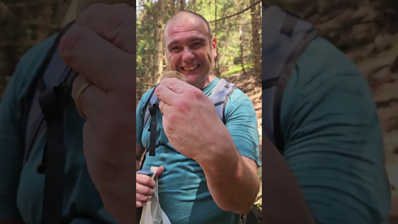 2025 MUSHROOM HARVEST, ON THE WAY BACK, I GOT A BEAUTIFUL ONE