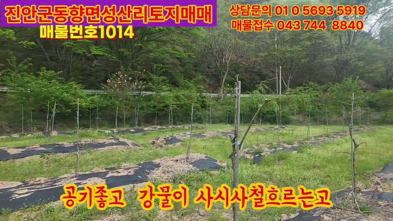 영동군전원주택매매, 영동군토지매매,영동군임야매매,영동군단독주택매매,영동군시골집매매,보은토지매매,옥천토지매매,급매물