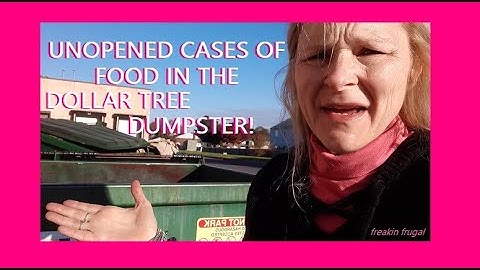 DUMPSTER DIVE ~ WHAT IS IT WITH DOLLAR TREE THROWING AWAY UNOPENED CASES OF FOOD #foodwasteinamerica