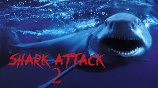Shark Attack 2  Full Movie