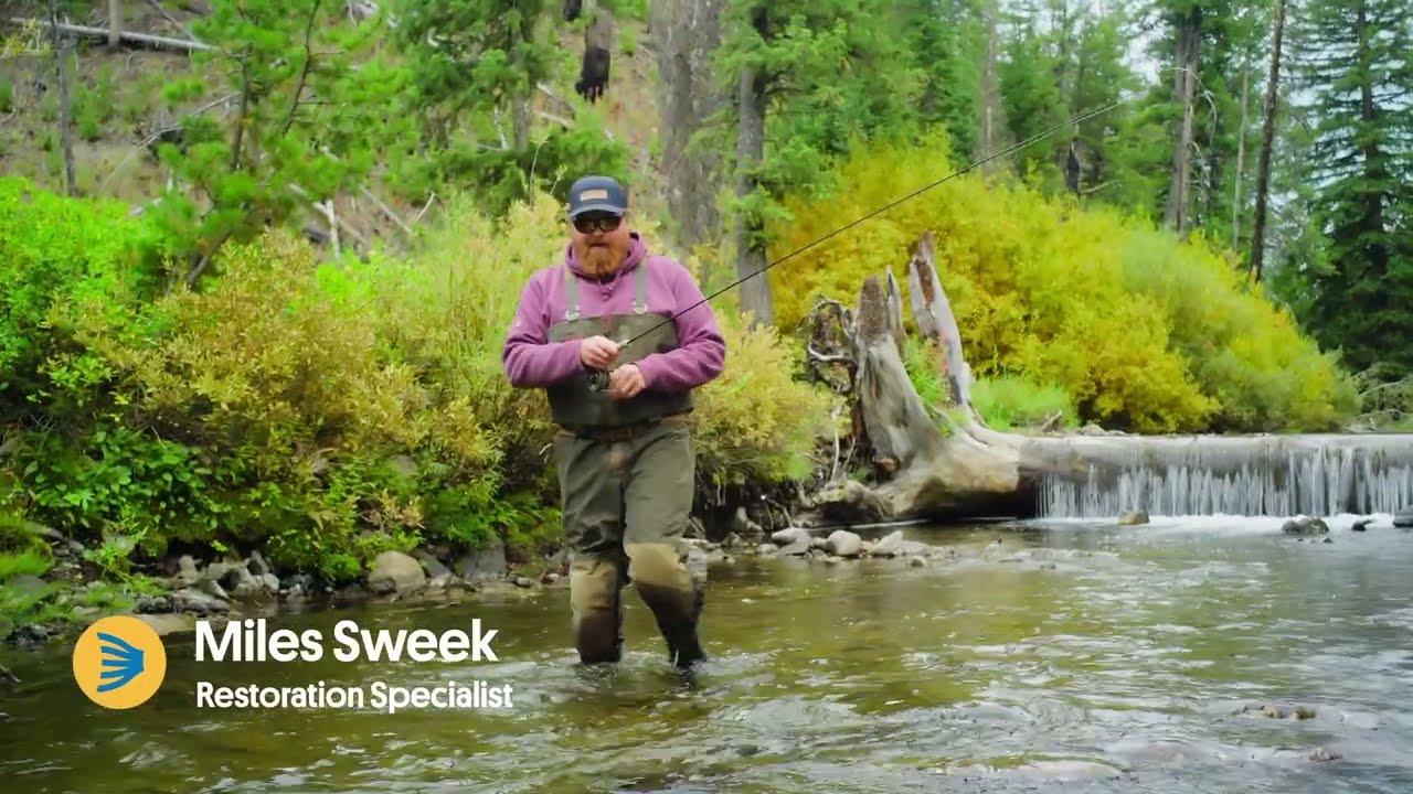 Big Wood Breakdown: Didymosphenia Geminata
