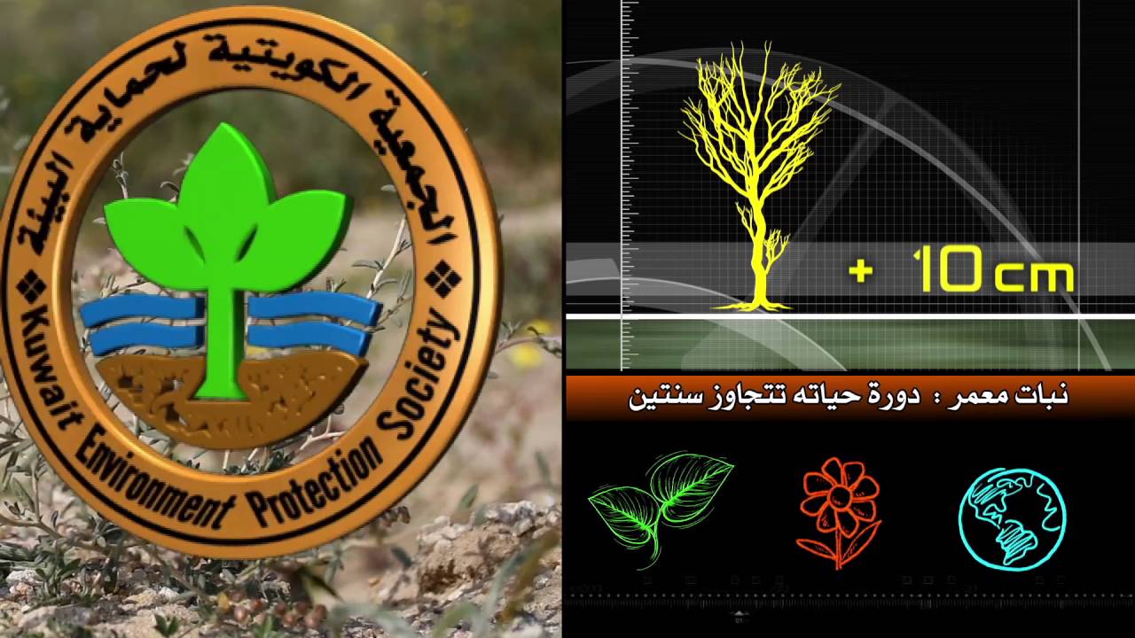 برنامج كل يوم نبته حلقة نبات الرقروق الحلقة الثامنة والعشرون