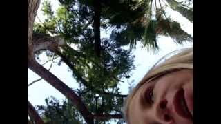 MOV00463