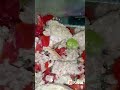 أكلات حلال جربها التونه   