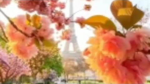 قرآن كريم بصوت نايف الفيصل ✨💯||حالات واتس اب دينيه //ستوريات انستقرام