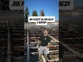 Jak pozbyć się partacza z budowy. #śmieszne #budujemyzpasja #memes #pracebudowlane #constructionsite