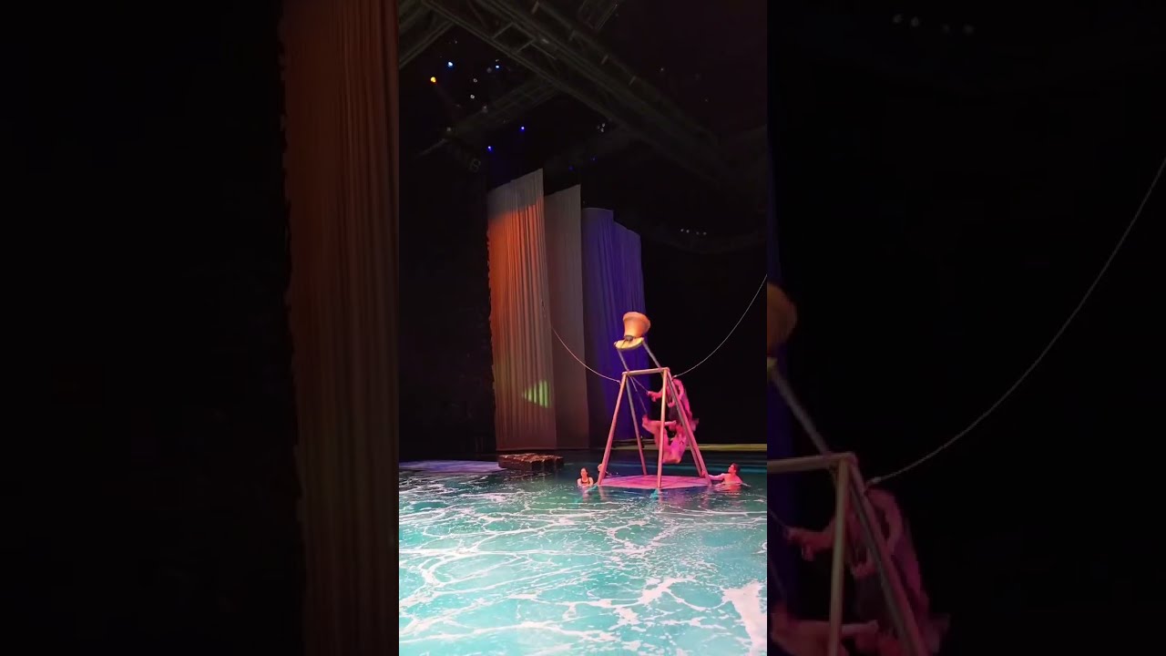 Dives: Perfect 👌 Vibes: High 🙌 