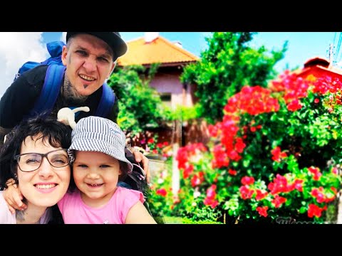 Влог маленькой девочки Луны в Минске! котики и собачки camping reality show motolina vegan family
