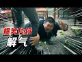 盘点“解气”爆笑合集，不要欺负老实人，否则连道歉的机会都没有