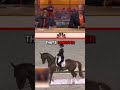 Crip walking horse..!!️🤣#snoopdogg #kevinhart #music