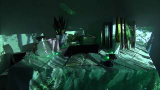 Interactive Installation｜Listen to the Nature