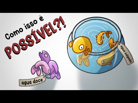 Vídeo: Água doce