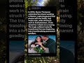 The Bride Who Never Returned From Her Honeymoon