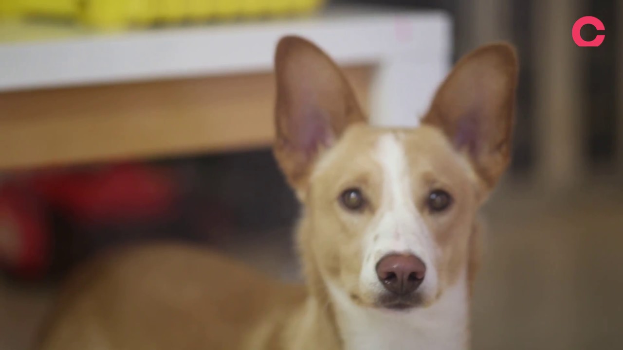 Concrete - Brandbuilding, Werbeagentur Hamburg - Crazy Shit