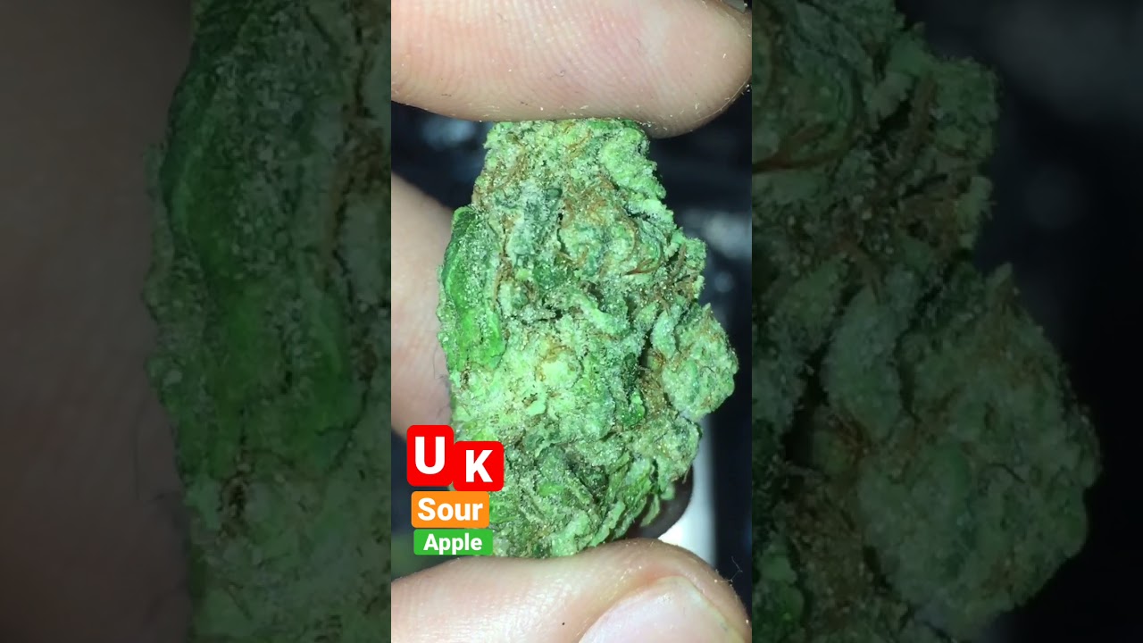 Sour apple 🍏 | balaclavabuds 