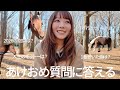 質問コーナーをしてみたり、馬に会いに行ったり（今年もよろしくね🐎♫）