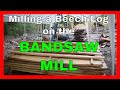 Milling a Spalted Beech Log - Making Beech Lumber - Woodland Mills HM130 Bandsaw Mill Milling a Spalted Beech Log - Making Beech Lumber - Woodland Mills HM130 Bandsaw Mill