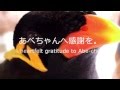 あべちゃん:感謝