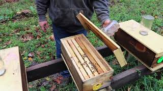 Permaculture Chemical Free Beekeeping