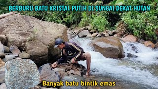 Download Lagu BANYAK BATU PUTIH DAN BENING DI SUNGAI DEKAT HUTAN MP3