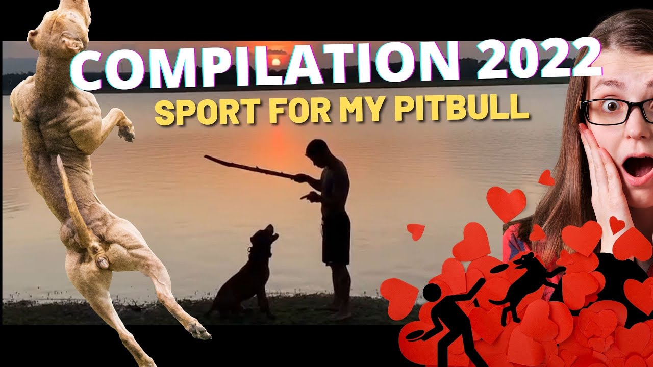 Compilation 2022 : SPORT FOR MY PITBULL