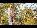 When Professional Got Down to Work / Repair Apple Tree / Russian Village Life on Different Russia