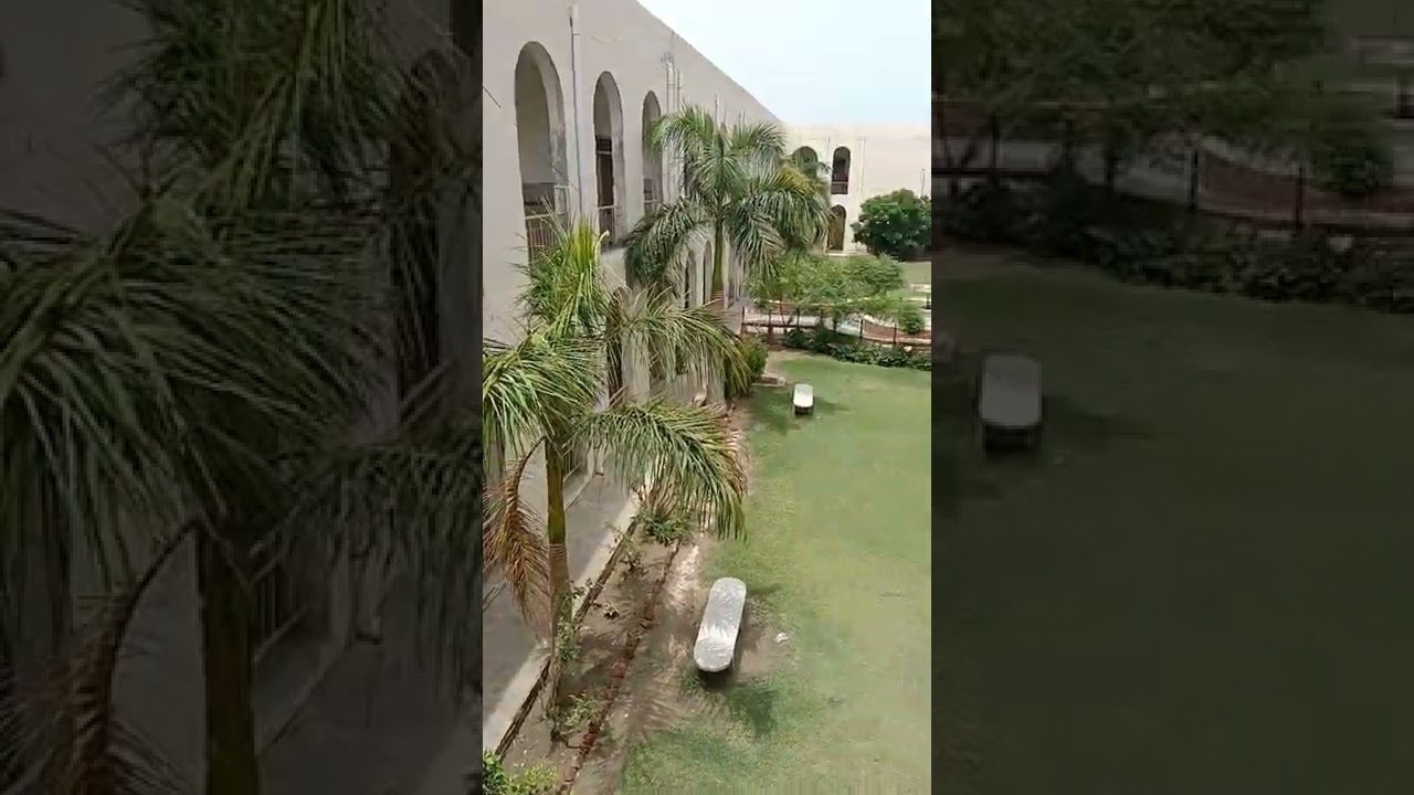 pharmacy department/ bzu