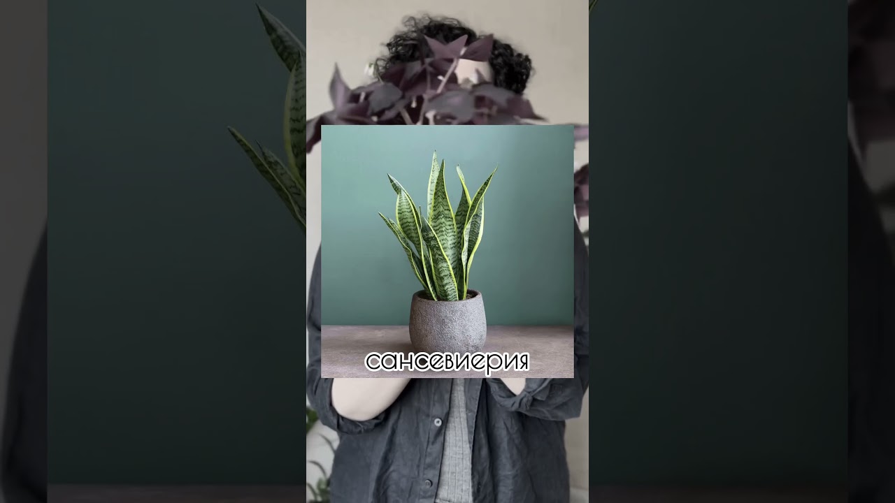 Подписывайся✅ 