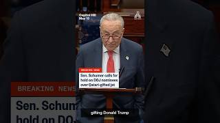 Senator Chuck Schumer calls for hold on DOJ nominee over Qatari-gifted jet