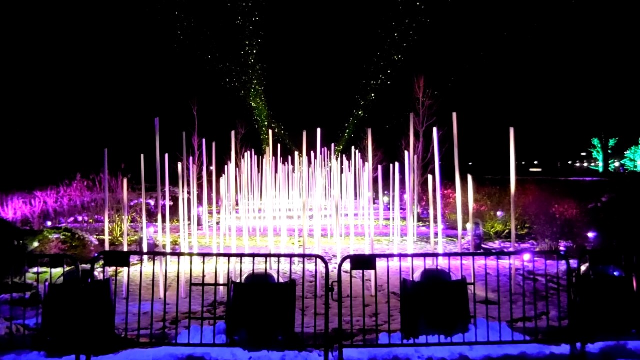 Lights at the Morton Arboretum YouTube