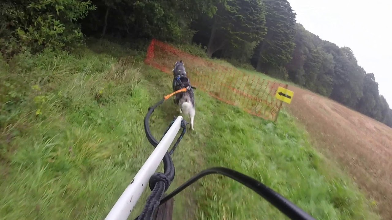 Checkendon September 2017